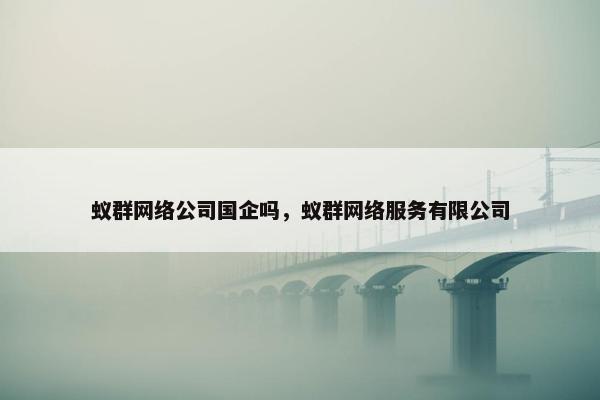 蚁群网络公司国企吗，蚁群网络服务有限公司