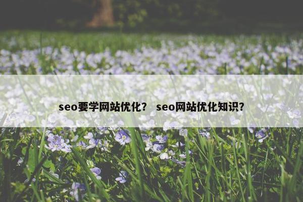 seo要学网站优化？ seo网站优化知识？