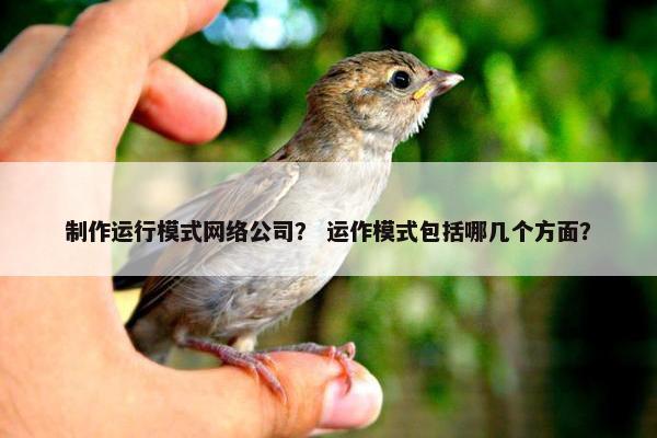 制作运行模式网络公司？ 运作模式包括哪几个方面？