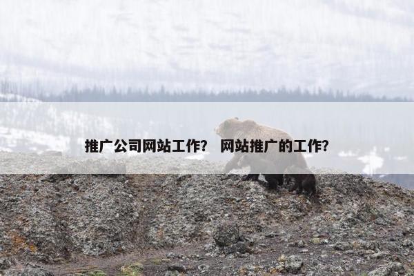 推广公司网站工作？ 网站推广的工作？
