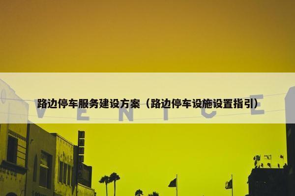 路边停车服务建设方案（路边停车设施设置指引）