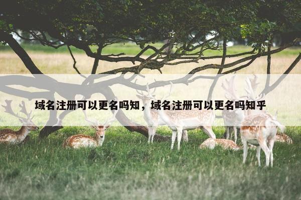 域名注册可以更名吗知，域名注册可以更名吗知乎