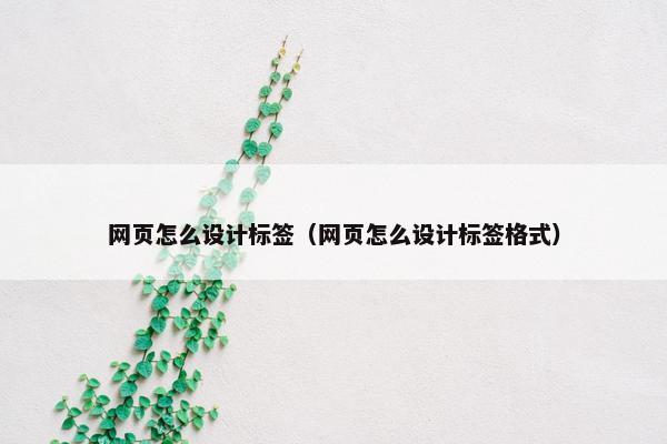 网页怎么设计标签（网页怎么设计标签格式）