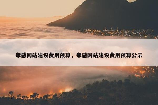 孝感网站建设费用预算，孝感网站建设费用预算公示
