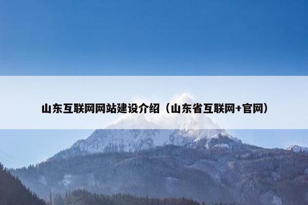 山东互联网网站建设介绍（山东省互联网+官网）