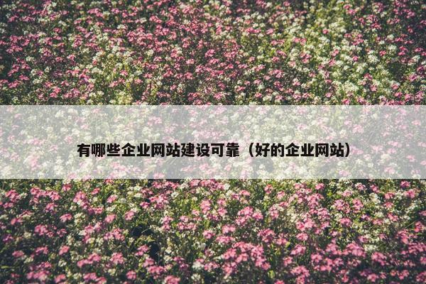 有哪些企业网站建设可靠（好的企业网站）