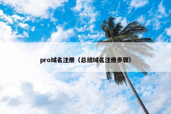 pro域名注册（总结域名注册步骤）