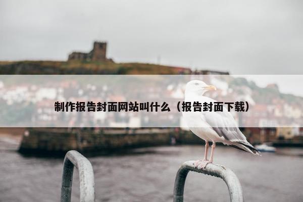 制作报告封面网站叫什么（报告封面下载）