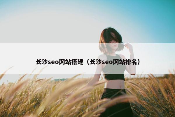 长沙seo网站搭建（长沙seo网站排名）