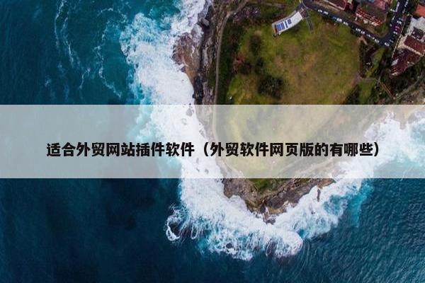 适合外贸网站插件软件（外贸软件网页版的有哪些）