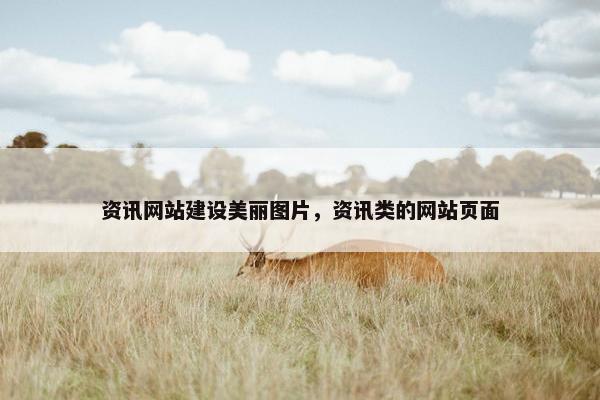 资讯网站建设美丽图片，资讯类的网站页面