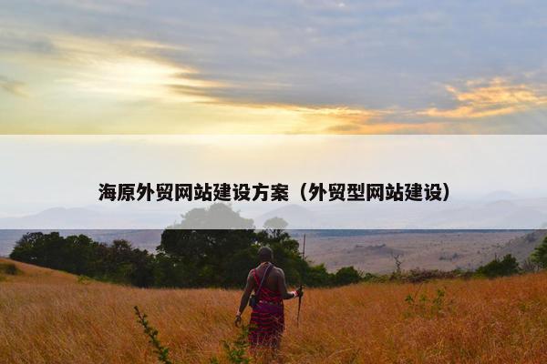 海原外贸网站建设方案（外贸型网站建设）