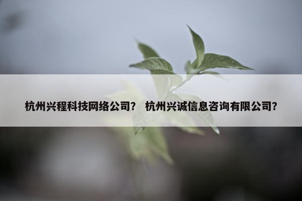 杭州兴程科技网络公司？ 杭州兴诚信息咨询有限公司？