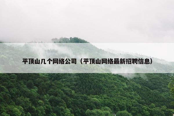 平顶山几个网络公司（平顶山网络最新招聘信息）