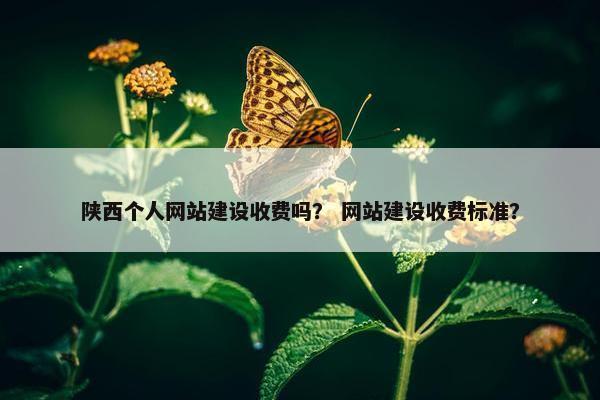 陕西个人网站建设收费吗？ 网站建设收费标准？