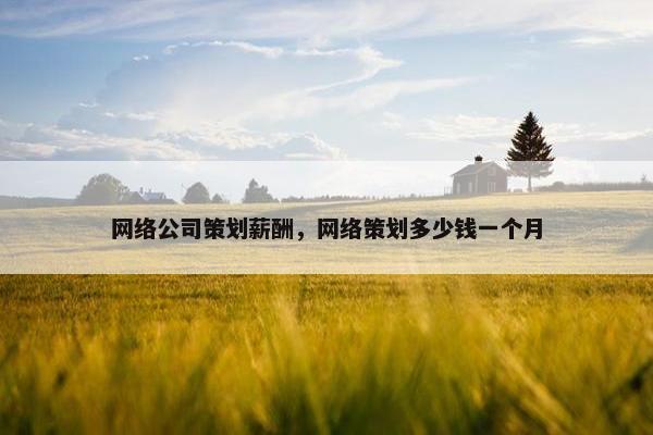 网络公司策划薪酬，网络策划多少钱一个月