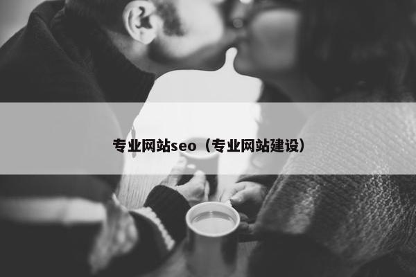 专业网站seo（专业网站建设）