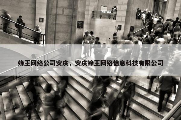 蜂王网络公司安庆，安庆蜂王网络信息科技有限公司