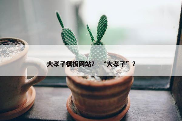 大孝子模板网站？ “大孝子”？