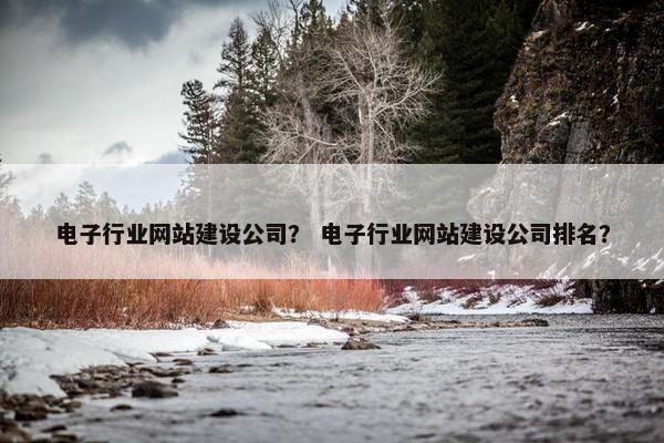 电子行业网站建设公司？ 电子行业网站建设公司排名？