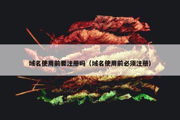 域名使用前要注册吗（域名使用前必须注册）