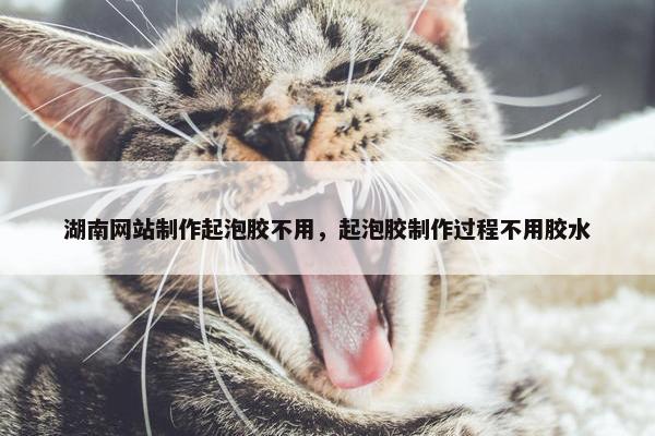 湖南网站制作起泡胶不用，起泡胶制作过程不用胶水