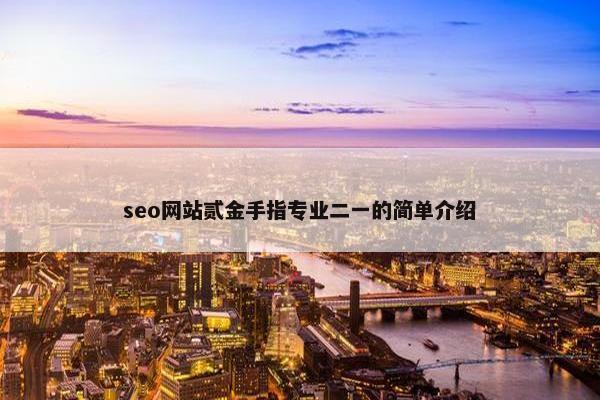 seo网站贰金手指专业二一的简单介绍