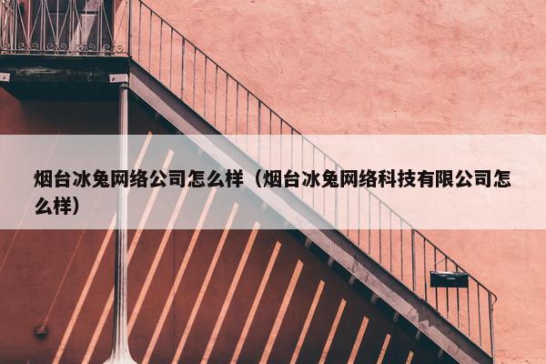 烟台冰兔网络公司怎么样（烟台冰兔网络科技有限公司怎么样）
