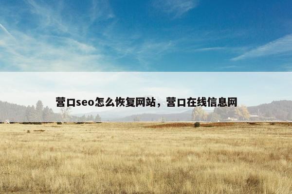 营口seo怎么恢复网站，营口在线信息网