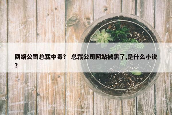 网络公司总裁中毒？ 总裁公司网站被黑了,是什么小说？