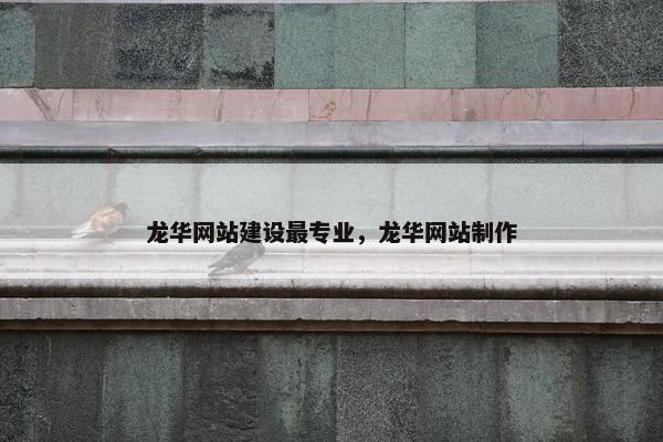 龙华网站建设最专业，龙华网站制作