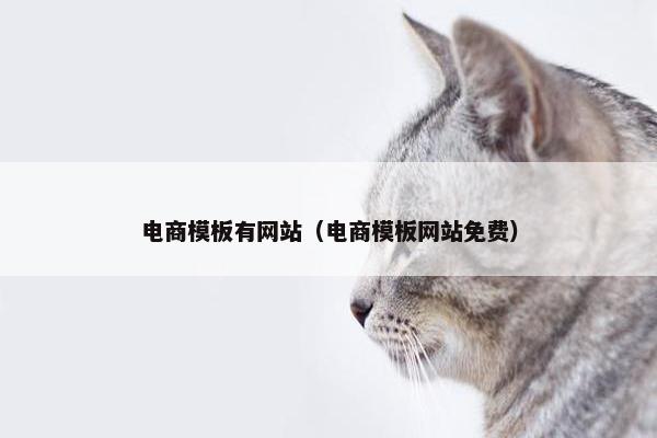 电商模板有网站（电商模板网站免费）