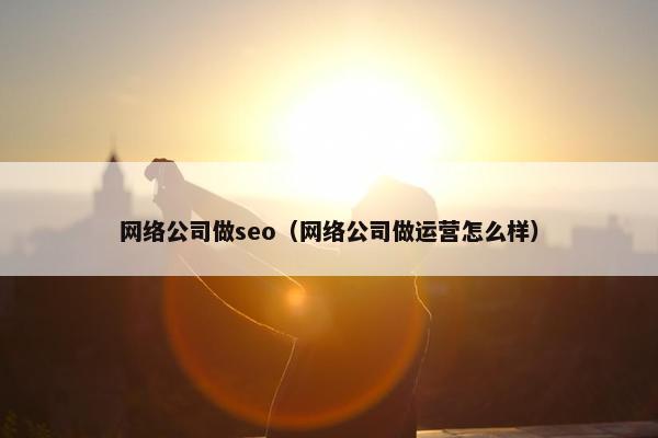 网络公司做seo（网络公司做运营怎么样）