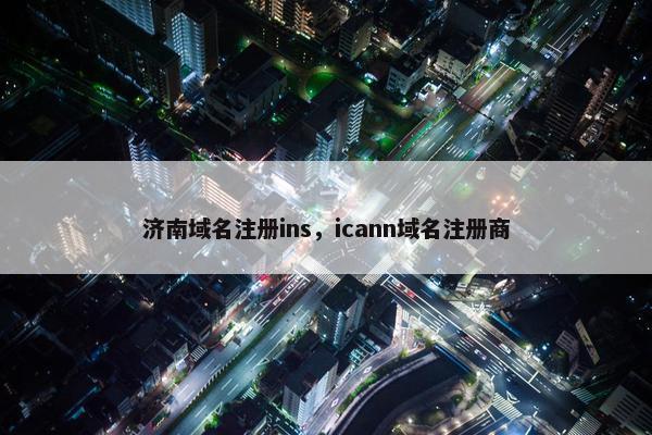 济南域名注册ins，icann域名注册商