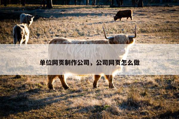 单位网页制作公司，公司网页怎么做