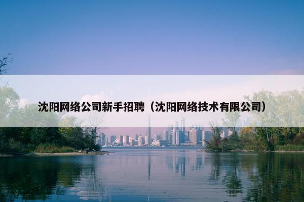 沈阳网络公司新手招聘（沈阳网络技术有限公司）