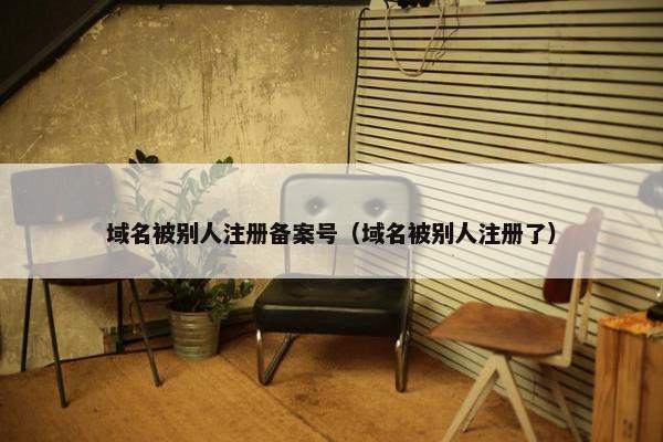 域名被别人注册备案号（域名被别人注册了）