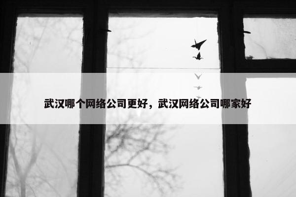 武汉哪个网络公司更好，武汉网络公司哪家好