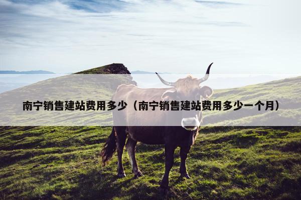 南宁销售建站费用多少（南宁销售建站费用多少一个月）