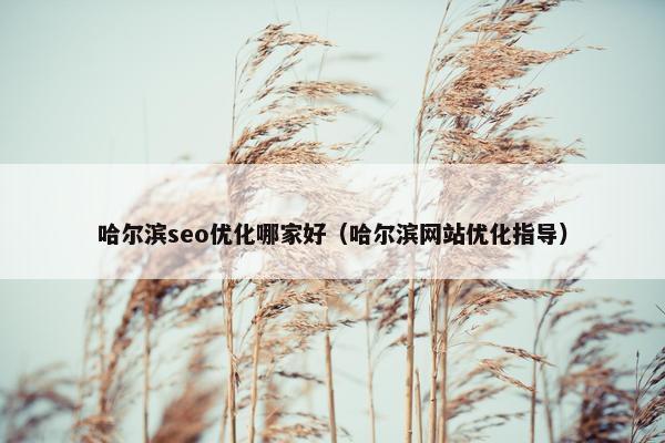 哈尔滨seo优化哪家好（哈尔滨网站优化指导）