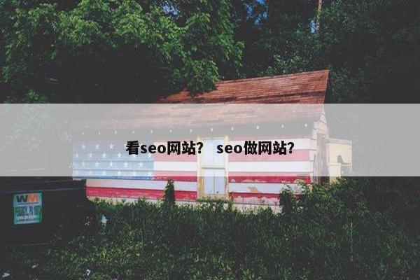 看seo网站？ seo做网站？