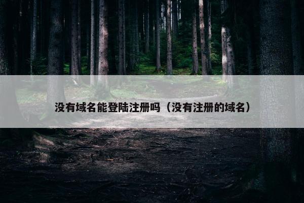 没有域名能登陆注册吗（没有注册的域名）