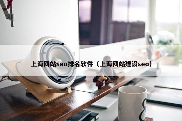 上海网站seo排名软件（上海网站建设seo）