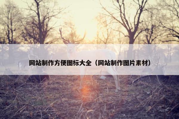 网站制作方便图标大全（网站制作图片素材）