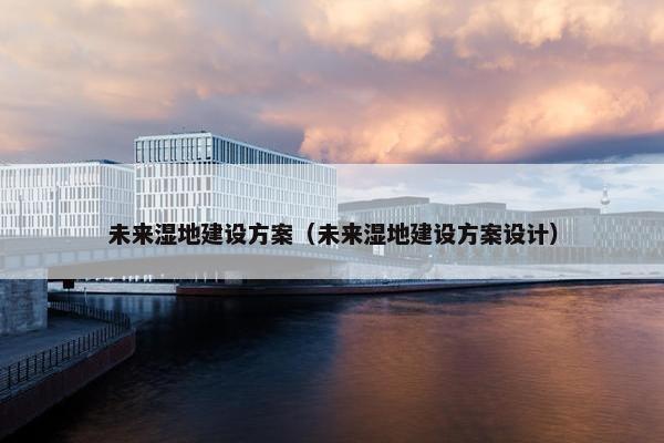 未来湿地建设方案（未来湿地建设方案设计）