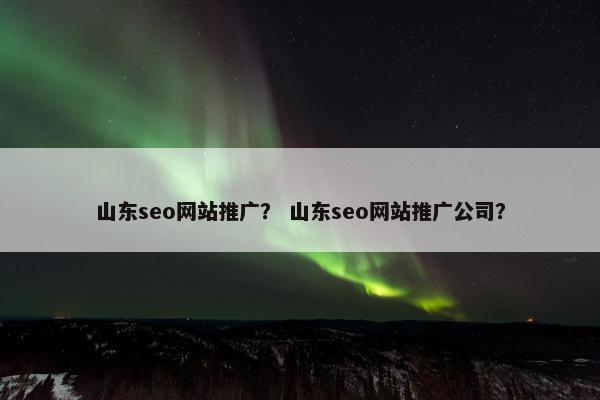 山东seo网站推广？ 山东seo网站推广公司？