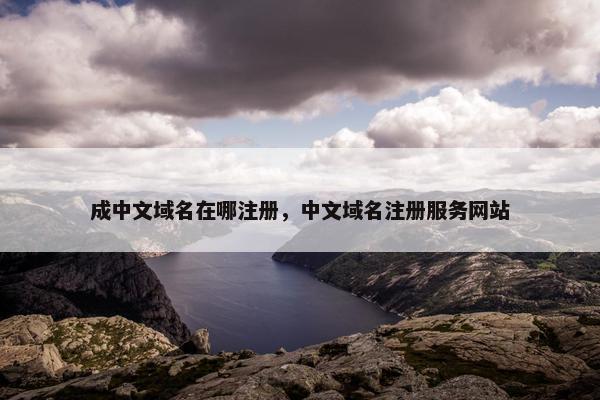 成中文域名在哪注册，中文域名注册服务网站