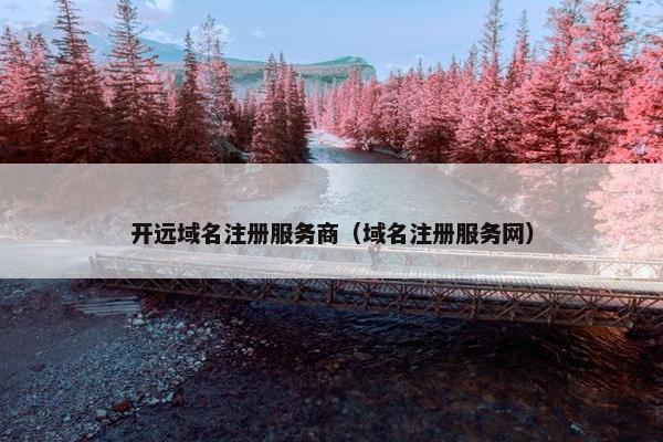 开远域名注册服务商（域名注册服务网）