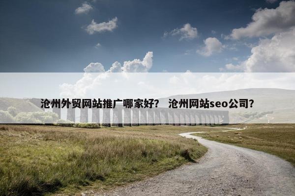 沧州外贸网站推广哪家好？ 沧州网站seo公司？