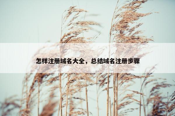 怎样注册域名大全，总结域名注册步骤